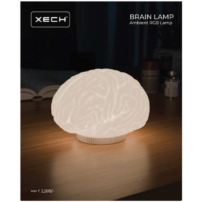 Xech - Brain Lamp