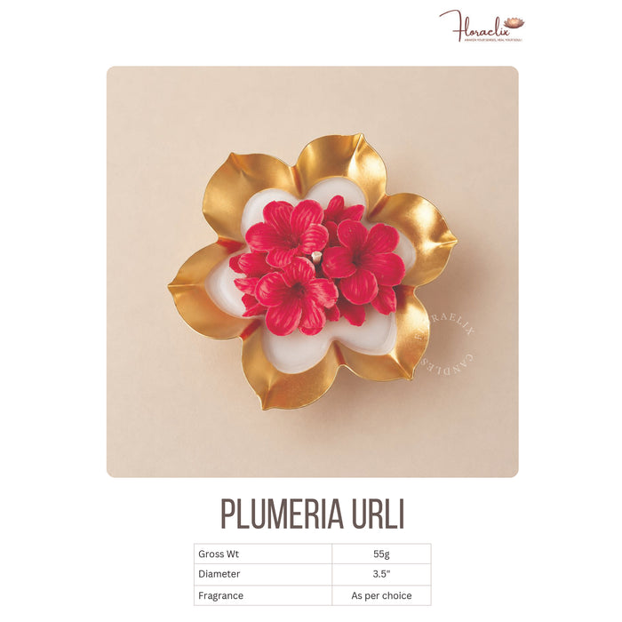 Floraelix - Plumeria Urli Candle   JSFC075