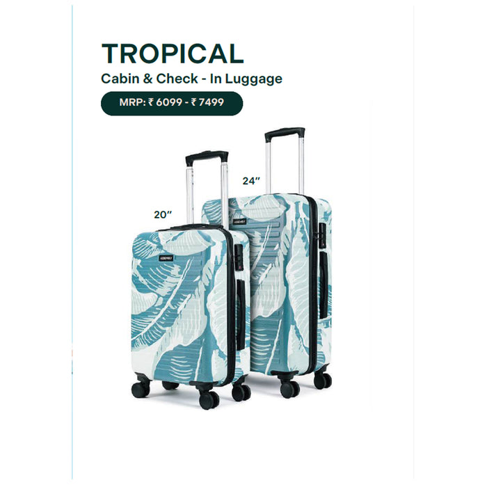 Assembly - Tropical